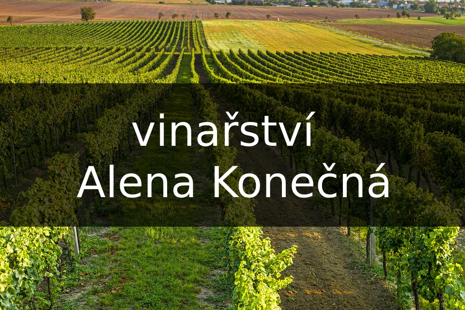 Alena Konečná, Čejkovice