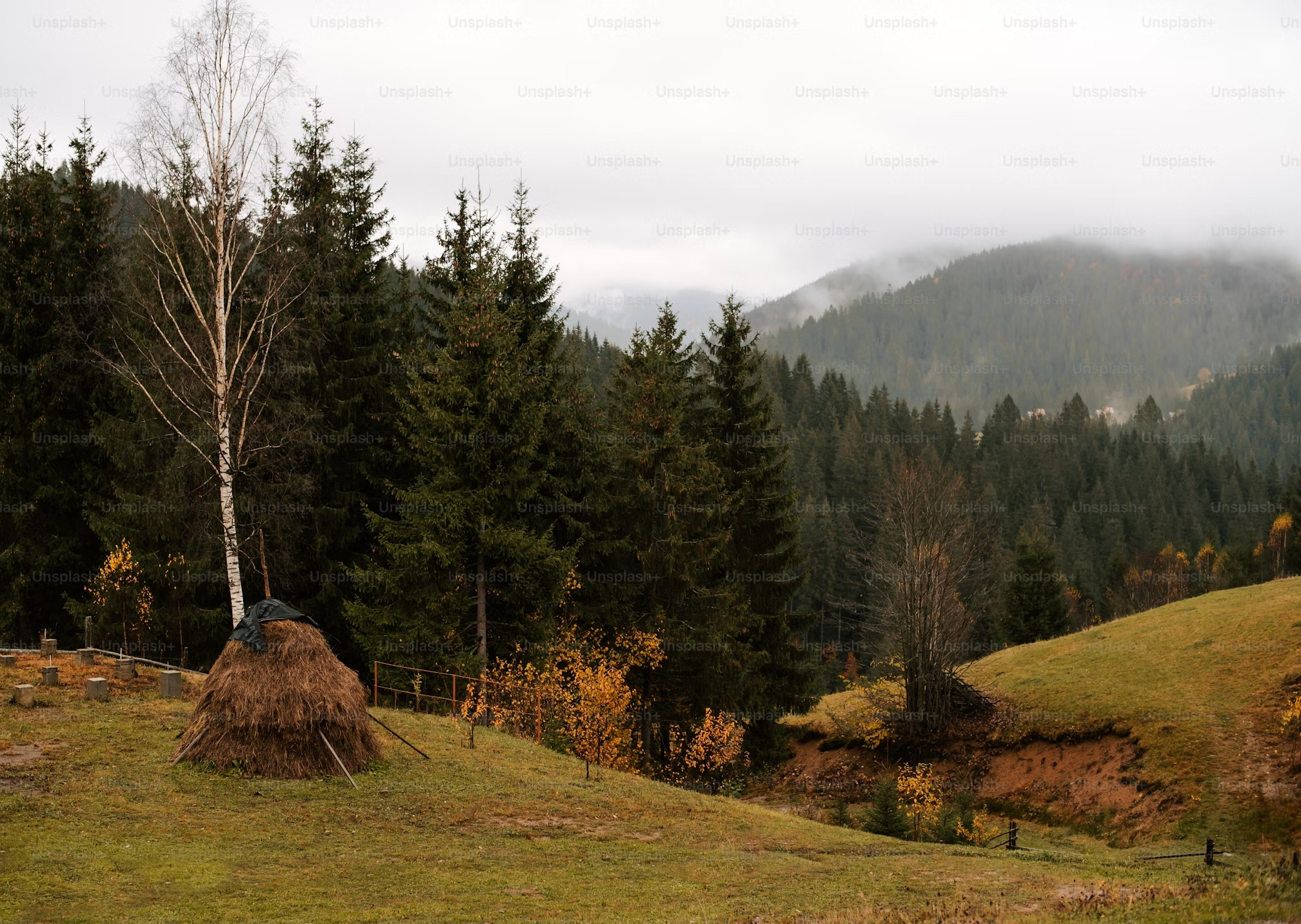 Velká Bukovina nabízí zajímavou přírodu, památky i dobré zázemí