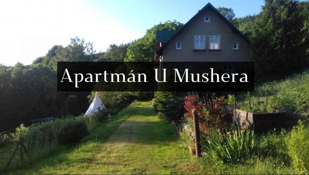 Apartmán U Mushera, Vrchlabí