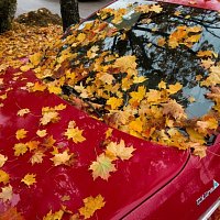 Auto podzim